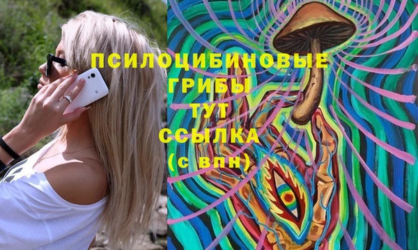 твердый Осинники
