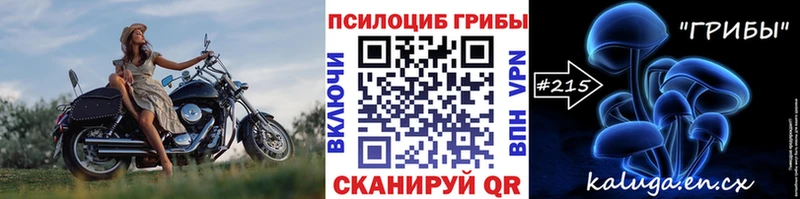 что такое наркотик  Полтавская  Псилоцибиновые грибы Psilocybe 